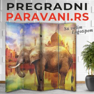 Paravan - Slon 003