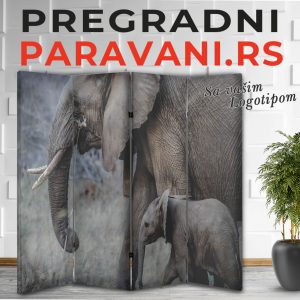 Paravan - Slon 005