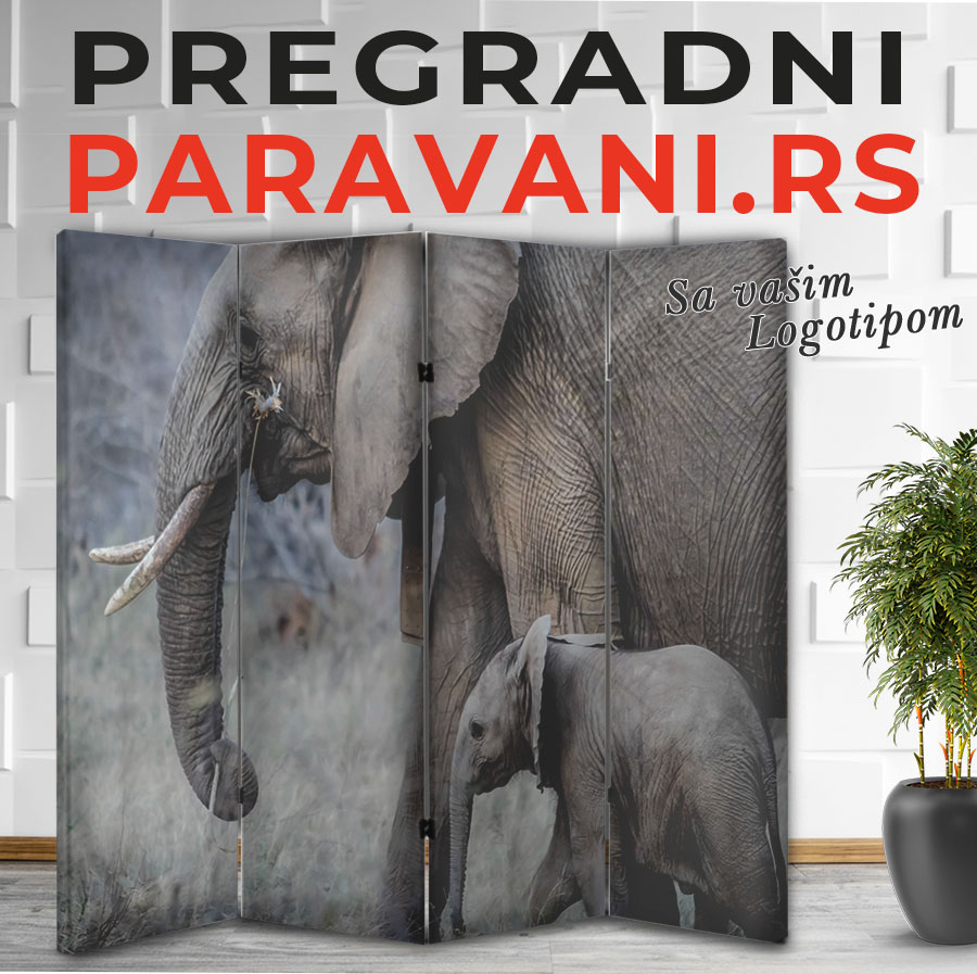 Paravan - Slon 005 1 Paravan - slon 005