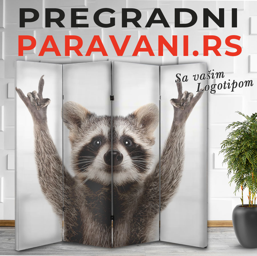 Paravan - Rakun 1 Paravan - rakun