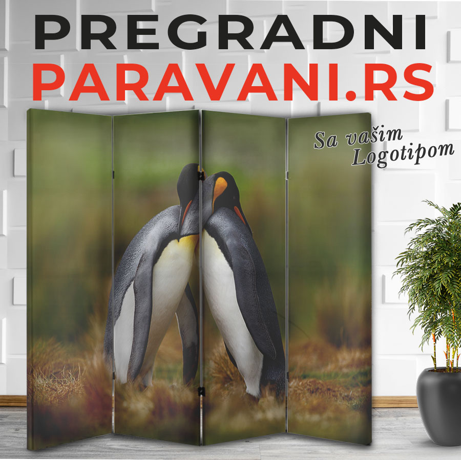 Paravan - Pingvin 1 Paravan - pingvin