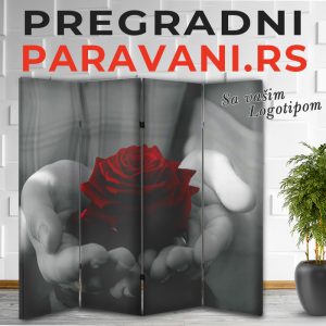 Istaknuti detalj 013