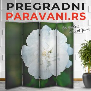 Cvetni paravani 016