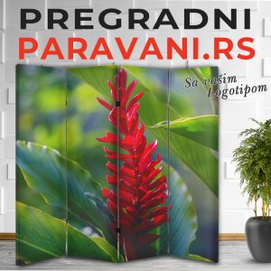 Cvetni paravani 017