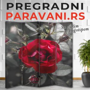 Istaknuti detalj 017