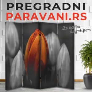 Istaknuti detalj 018