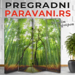 3D paravan 023