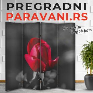 Istaknuti detalj 026