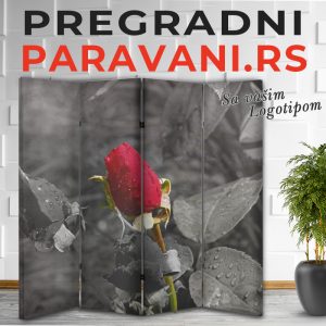 Istaknuti detalj 027