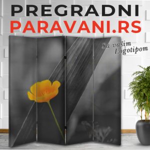 Istaknuti detalj 034