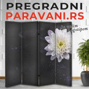 Feng Shui paravan 058