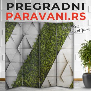 3D Paravani