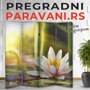 Feng Shui Paravani
