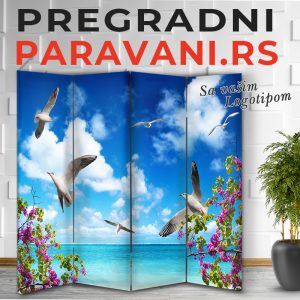 Paravan - More 034