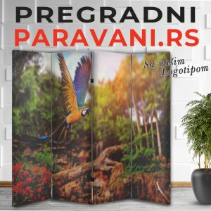 Paravan - Papagaj 001
