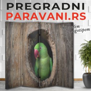 Paravan - Papagaj 002