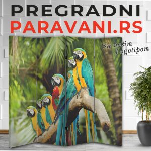 Paravan - Papagaj 003